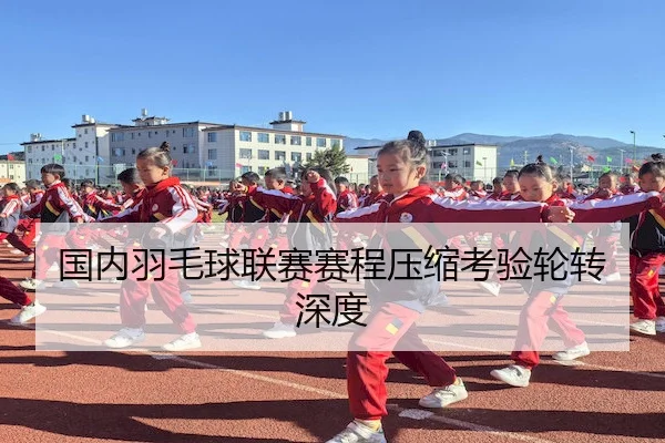 国内羽毛球联赛赛程压缩考验轮转深度